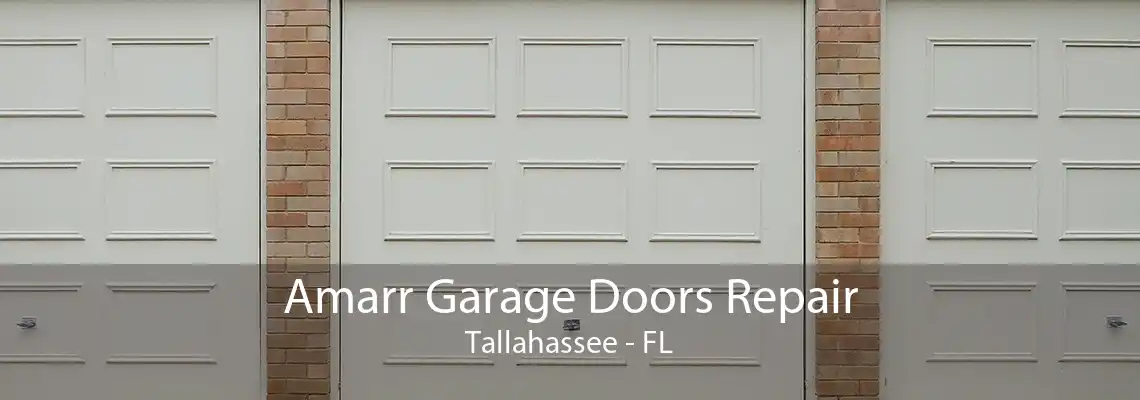 Amarr Garage Doors Repair Tallahassee - FL