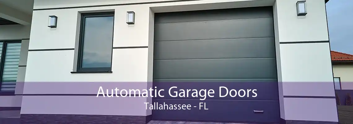 Automatic Garage Doors Tallahassee - FL