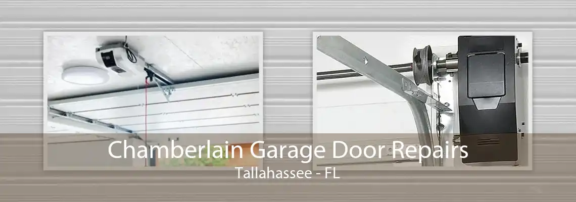 Chamberlain Garage Door Repairs Tallahassee - FL