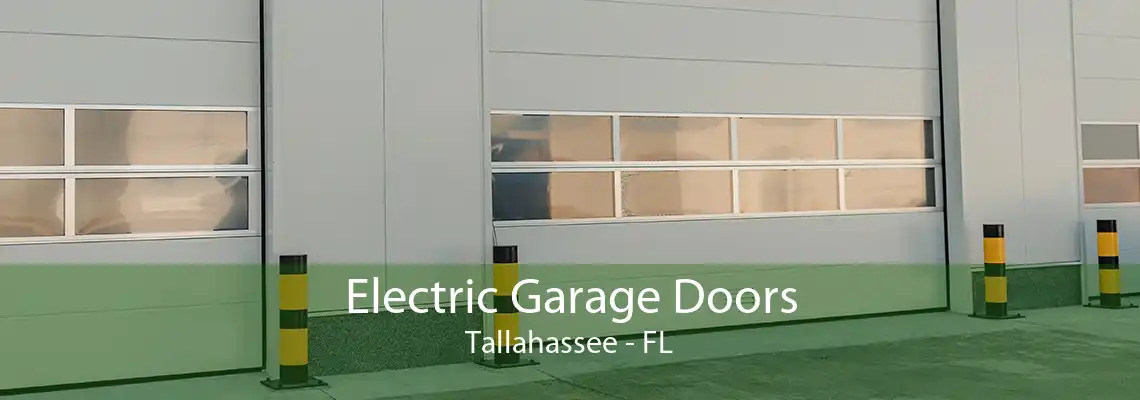 Electric Garage Doors Tallahassee - FL