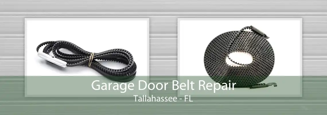 Garage Door Belt Repair Tallahassee - FL