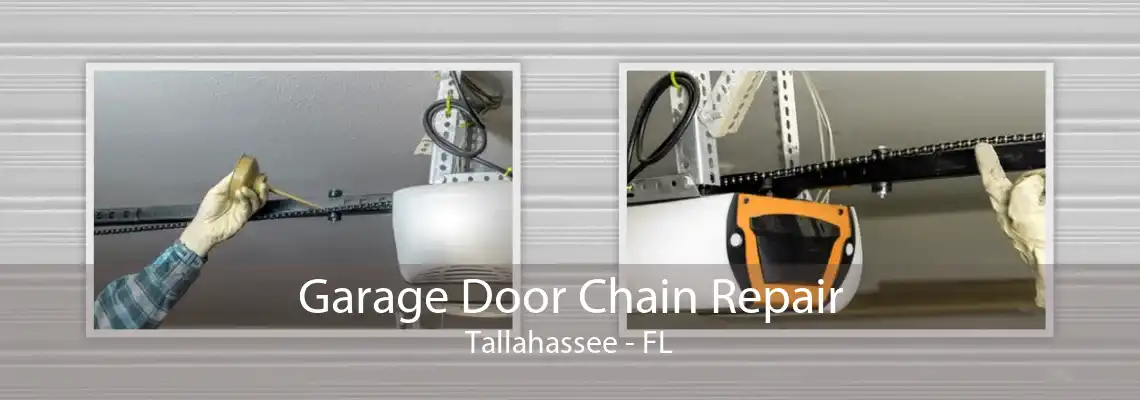 Garage Door Chain Repair Tallahassee - FL