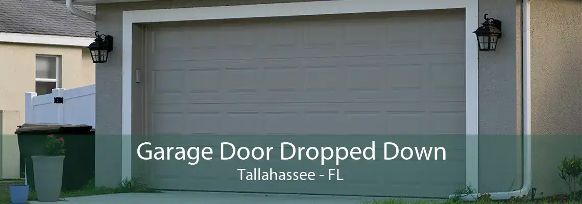 Garage Door Dropped Down Tallahassee - FL