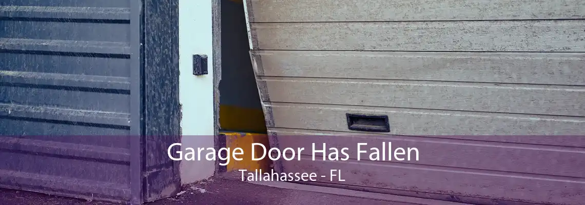 Garage Door Has Fallen Tallahassee - FL