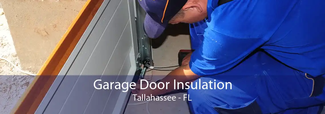 Garage Door Insulation Tallahassee - FL