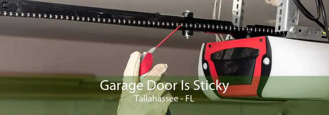 Garage Door Is Sticky Tallahassee - FL