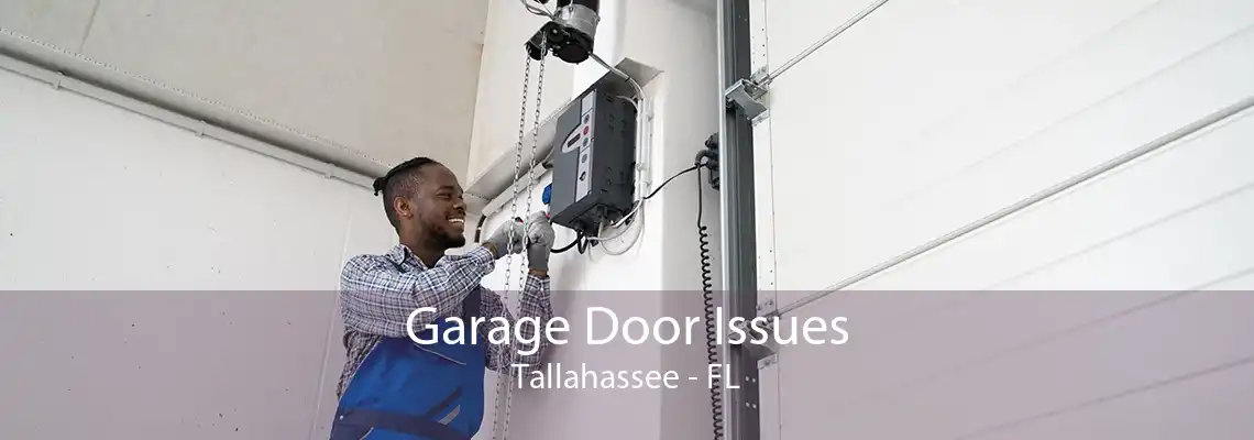 Garage Door Issues Tallahassee - FL