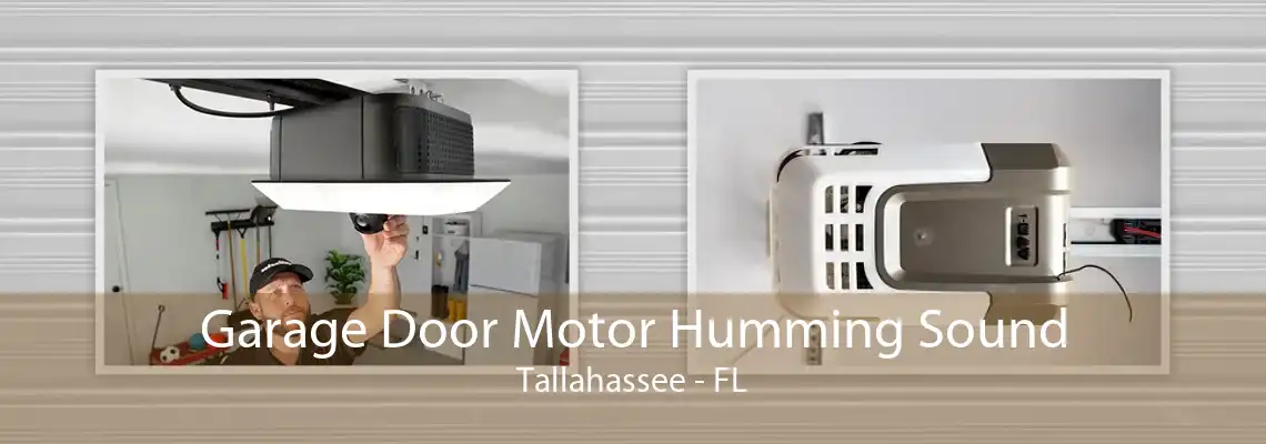 Garage Door Motor Humming Sound Tallahassee - FL