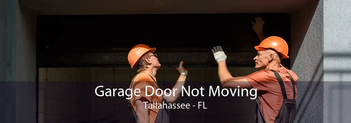 Garage Door Not Moving Tallahassee - FL