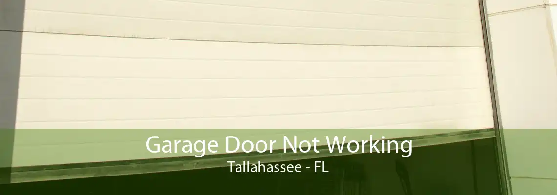 Garage Door Not Working Tallahassee - FL