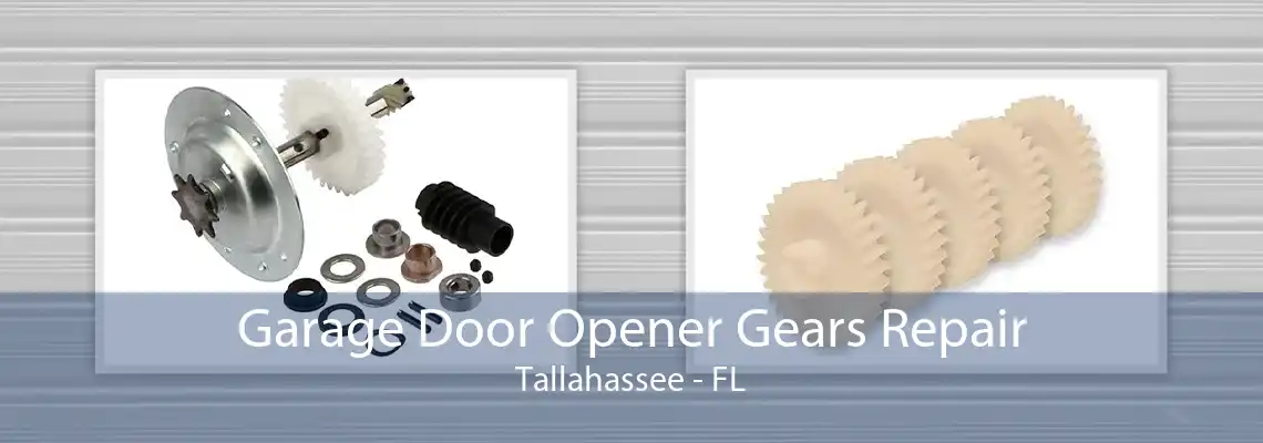 Garage Door Opener Gears Repair Tallahassee - FL