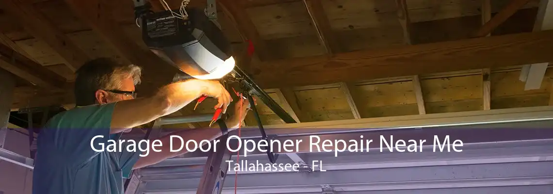 Garage Door Opener Repair Near Me Tallahassee - FL