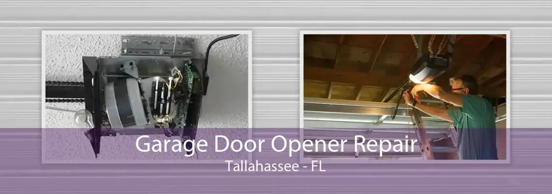 Garage Door Opener Repair Tallahassee - FL