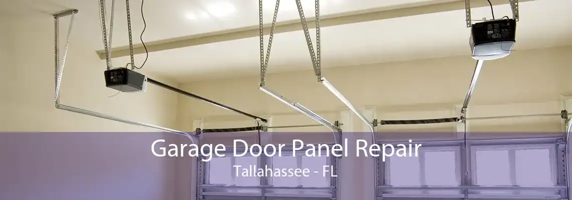 Garage Door Panel Repair Tallahassee - FL