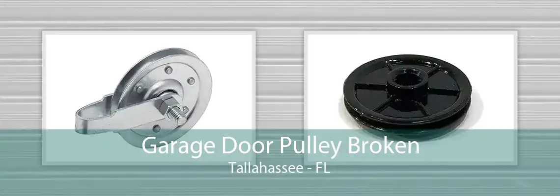 Garage Door Pulley Broken Tallahassee - FL