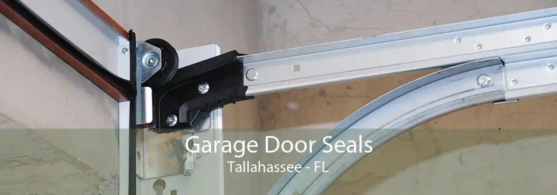 Garage Door Seals Tallahassee - FL