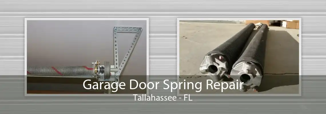 Garage Door Spring Repair Tallahassee - FL