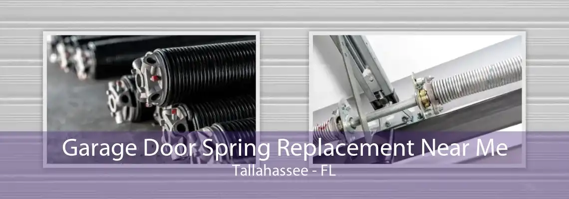 Garage Door Spring Replacement Near Me Tallahassee - FL