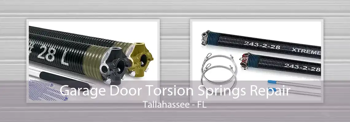 Garage Door Torsion Springs Repair Tallahassee - FL