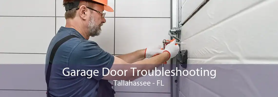 Garage Door Troubleshooting Tallahassee - FL