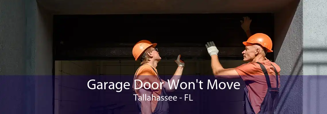 Garage Door Won't Move Tallahassee - FL