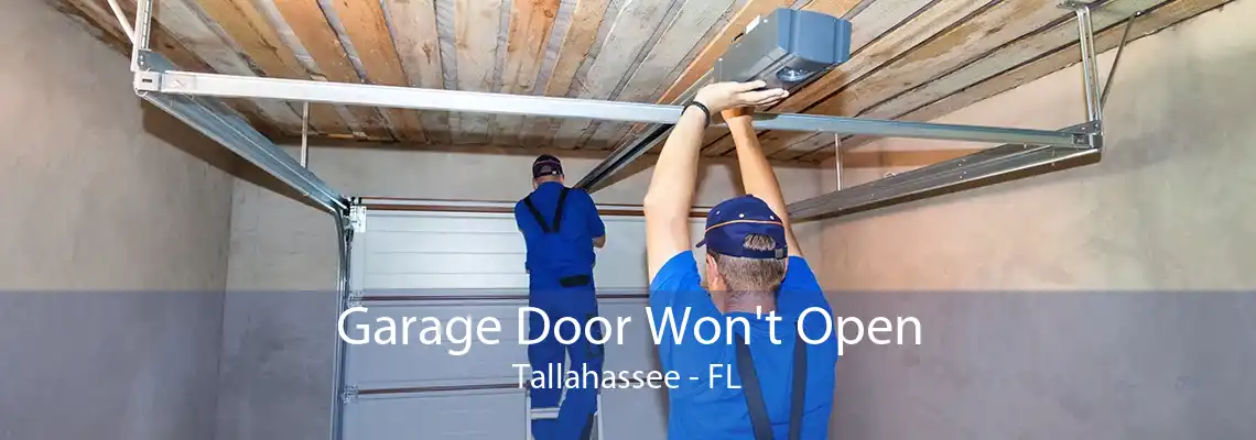 Garage Door Won't Open Tallahassee - FL