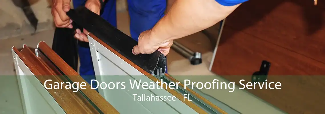 Garage Doors Weather Proofing Service Tallahassee - FL