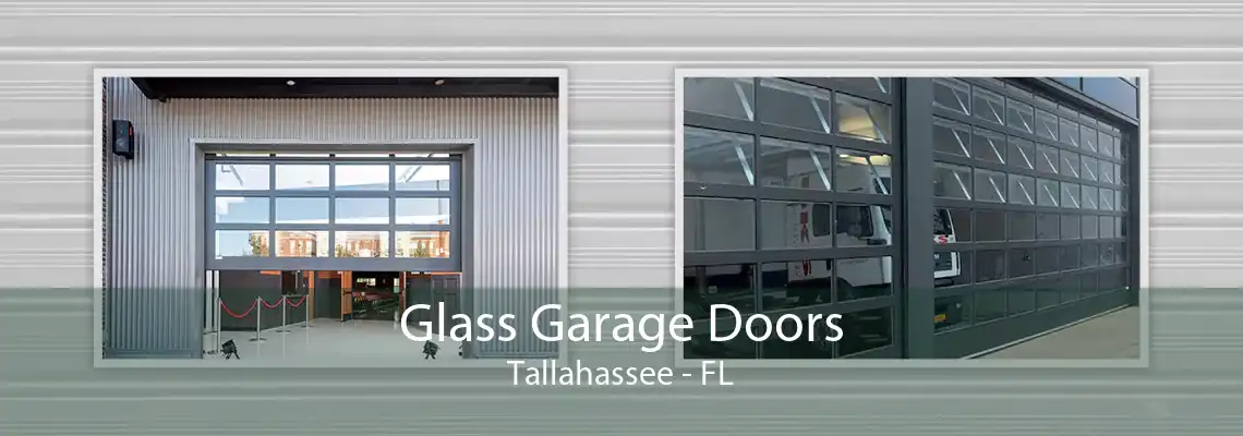 Glass Garage Doors Tallahassee - FL