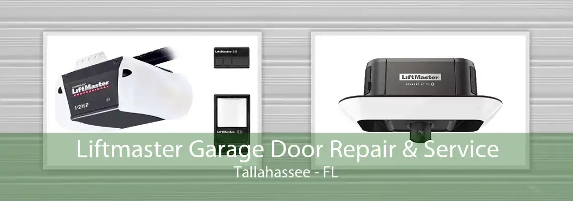 Liftmaster Garage Door Repair & Service Tallahassee - FL