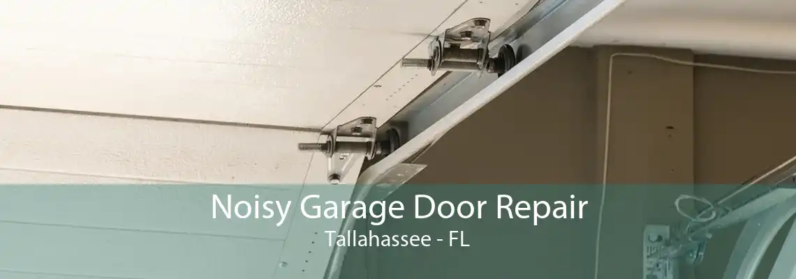 Noisy Garage Door Repair Tallahassee - FL