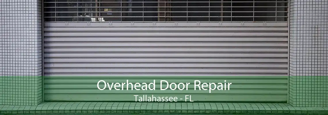 Overhead Door Repair Tallahassee - FL