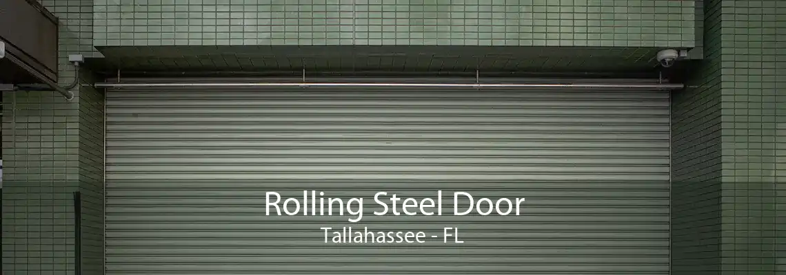 Rolling Steel Door Tallahassee - FL