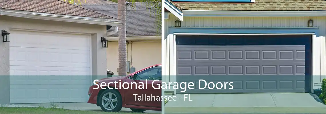 Sectional Garage Doors Tallahassee - FL